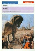 Iliada - Homer -  books in polish 
