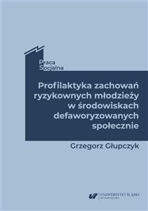 Picture of Profilaktyka zachowań ryzykownych młodzieży