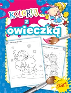 Picture of Koloruj z owieczką
