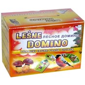 Polska książka : Leśne domi...