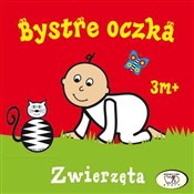 Bystre ocz... - Joanna Homel, Iwona Janoszek -  books in polish 