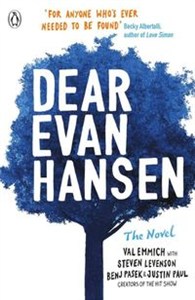 Obrazek Dear Evan Hansen