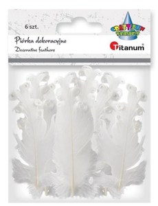 Picture of Piórka dekoracyjne, curly - białe (396539)