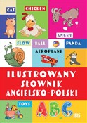 polish book : Ilustrowan... - opracowanie zbiorowe