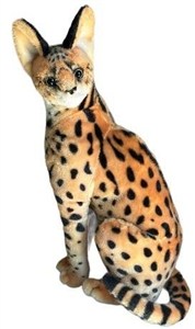 Picture of Serwal 49cm