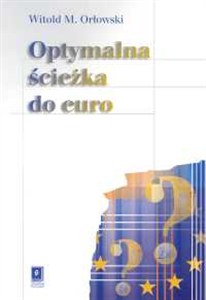 Obrazek Optymalna ścieżka do euro