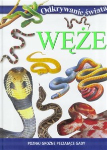 Obrazek Węże. Odkrywanie świata