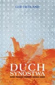 Duch Synos... - Leif Hetland -  books from Poland