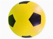 polish book : Piłka bied...