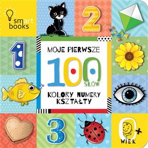 Picture of Moje pierwsze 100 słów Kolory, numery, kształty