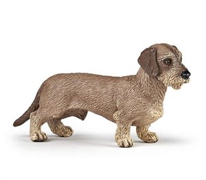 Obrazek Jamnik szorstkowłosy