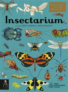 Obrazek Insectarium