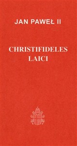 Obrazek Christifideles laici