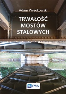 Obrazek Trwałość mostów stalowych