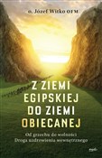 Z ziemi eg... - Józef Witko -  foreign books in polish 