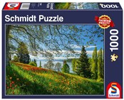 polish book : Puzzle 100...