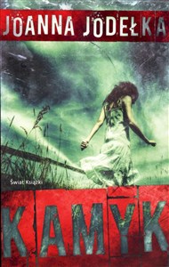Obrazek Kamyk