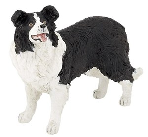 Obrazek Border collie