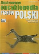 Ilustrowan... - Michał Radziszewski, Mateusz Matysiak -  Polish Bookstore 
