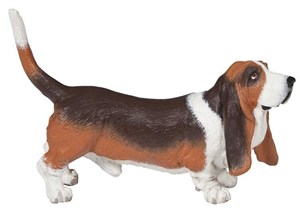 Picture of Basset