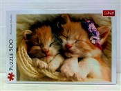 Książka : Puzzle Śpi...