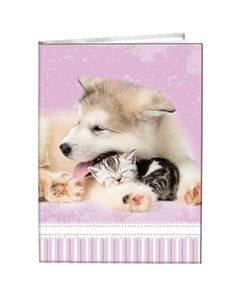 Picture of Notes gładki 13x18cm Przyjaciele