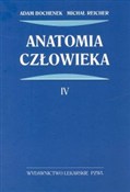 Anatomia c... - Adam Bochenek, Michał Reicher -  foreign books in polish 