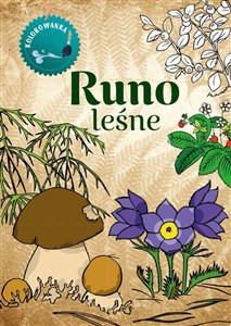 Obrazek Runo leśne. Kolorowanka