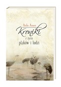 polish book : Kroniki z ... - Aida Amer