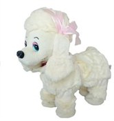 Polska książka : Piesek na ...