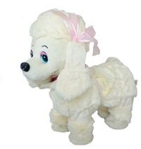 Obrazek Piesek na smyczy Pudelek beżowy