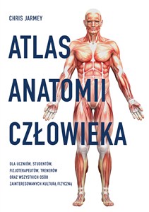 Picture of Atlas anatomii człowieka