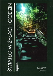 Picture of Światło w żyłach godzin