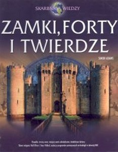 Obrazek Zamki, forty i twierdze