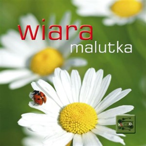 Obrazek Klucze (5) - Wiara malutka