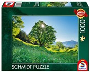 Puzzle 100... -  books from Poland