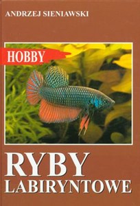 Obrazek Ryby labiryntowe