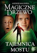 polish book : Magiczne D... - Andrzej Maleszka