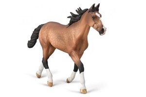 Obrazek Ogier standardbred maści gniadej