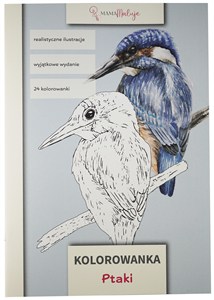 Obrazek Kolorowanka Ptaki