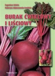 Obrazek Burak ćwikłowy i liściowy HORTPRESS