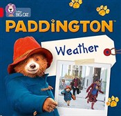 Polska książka : Paddington... - Rebecca Adlard, Collins Big Cat