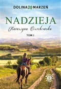 Polska książka : Dolina mar... - Katarzyna Grochowska