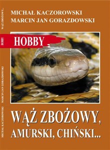 Obrazek Wąż zbożowy, amurski, chiński…