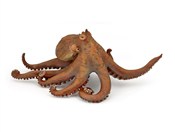 Polska książka : Ośmiornica...