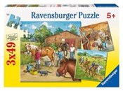 Puzzle Dzi... -  Książka z wysyłką do UK