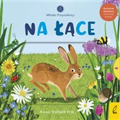 polish book : Młodzi prz... - Anne-Kathrin Behl