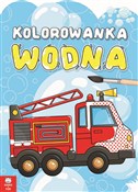 Książka : Kolorowank...