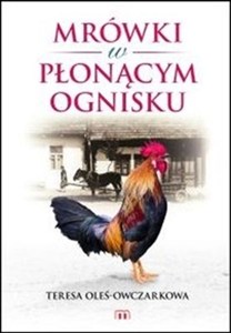 Picture of Mrówki w płonącym ognisku