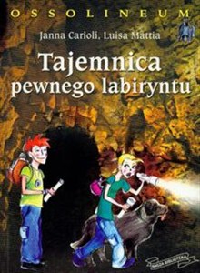 Obrazek Tajemnica pewnego labiryntu